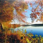 Foliage On Lake Barnegat by Kimberly Measure Photography
