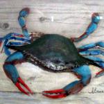 Crab On the Deck, Gouache, Irene Bausmith